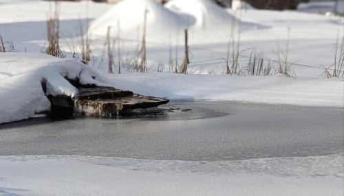 Regietow House | Domek Veron