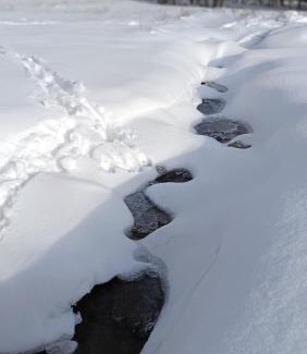 Regietow House | Domek Veron