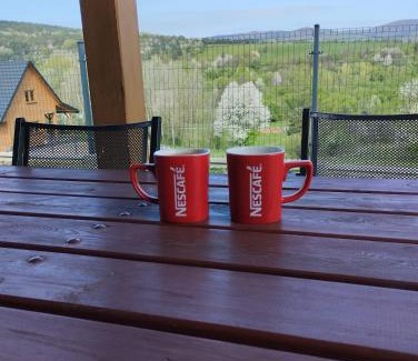 gmina Krempna Villa | Domek w Świątkowej