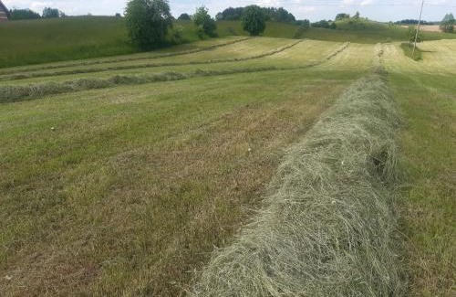 Warpuny House | Domek w Kwiatach