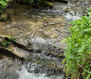 Solina Ski Chalet | Domki letniskowe pod Brzozami Stella