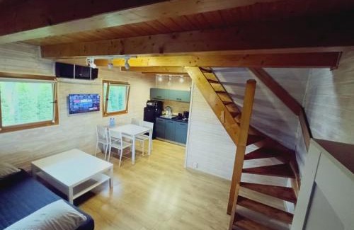 gmina odygowice House | Domki nad jeziorem Widokówka Zarzecze