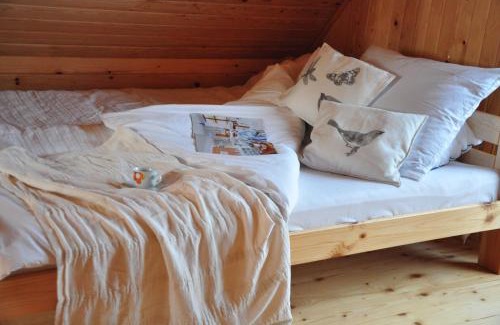 Olchowiec Cabin | Domki nad Soliną