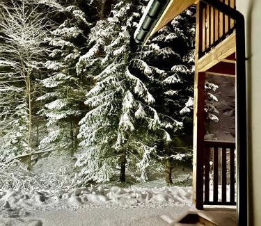 Lesko House | Domki Zew Natury