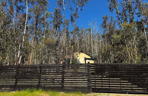 Tunquen House | DOMO Boutique with tinaja in the Tunquen Forest