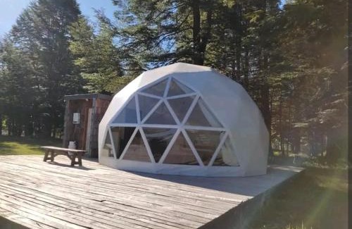 Curacautin Other | Domo Reserva Conguillío