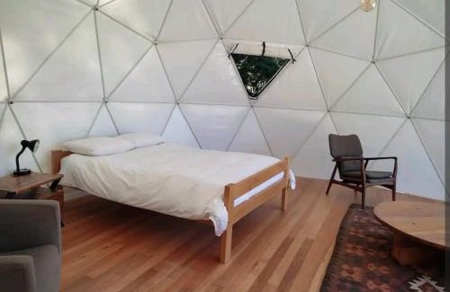 Curacautin Other | Domo Reserva Conguillío