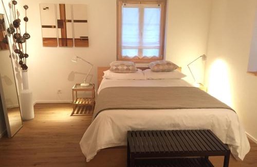 Lachen Apartment | Dorf Hotel "Zuhause in Lachen"
