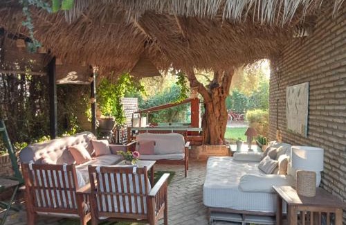 Dos Hermanas Apartment | Dormir entre limones, Casa de invitados en vivienda familiar