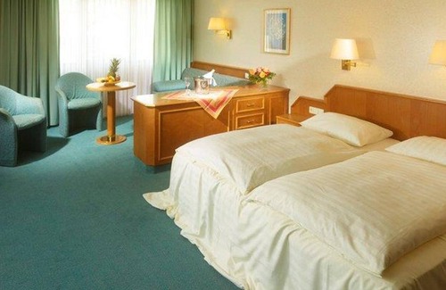 Roemerberg Cottage | Double Room Business - Hotel-Restaurant Pfälzer Hof