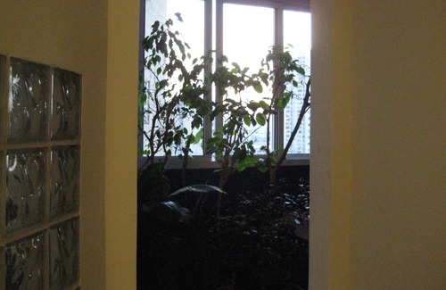 Lapa Apartment | DOUBLE ROOM IN ALTO DA LAPA IN RESIDENCE