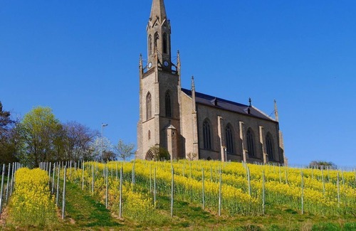 Bad Kreuznach District Bed & Breakfast | Double Room Shower/WC - Winery Funck-Schowalter