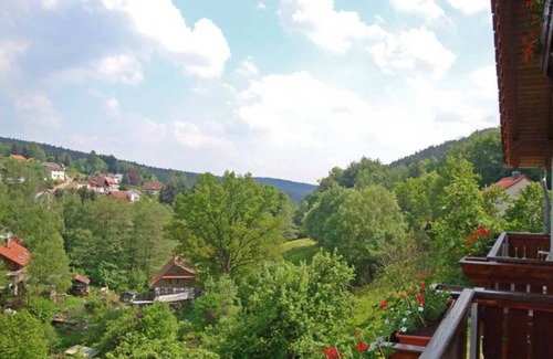 Beerfelden Cottage | Double room without balcony 10 - Gasthaus Zum Pälterwald