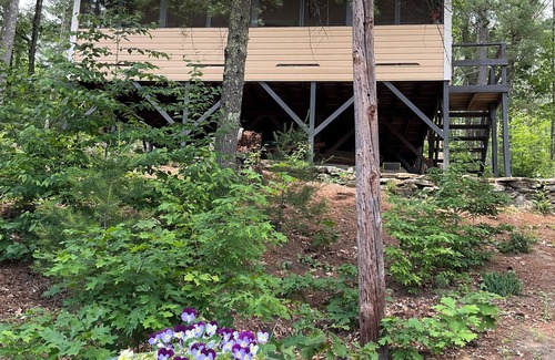 Holland Cabin | Dove Cabin up in the Trees