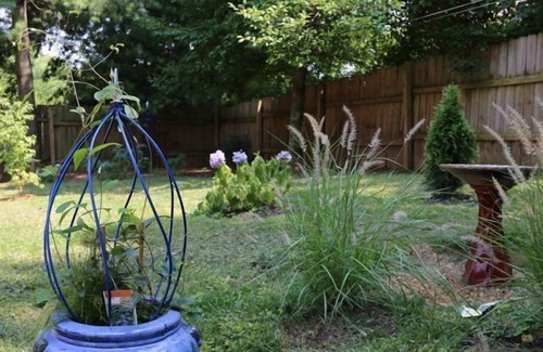 Franklin Cottage | Downtown Franklin!Very Clean and Quiet/Fenced yard/Dog friendly! No Cats
