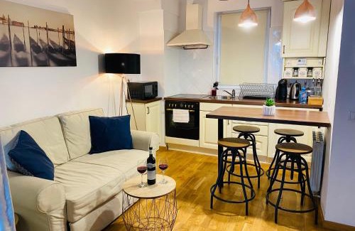 Cluj-Napoca City Centre Apartment | Downtown Studio