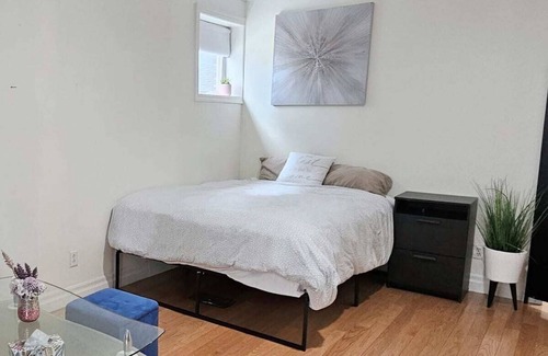 Little Italy Apartment | Downtown Toronto 1 bedroom unit Near Trinity bellwood park