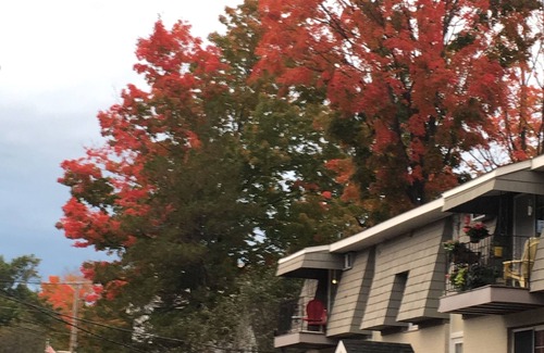 Westborough Condo | Downtown Westborough one bedroom condo with treetop views and private parking