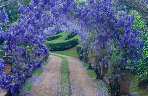 Campos do Jordao House | dream house in the countryside