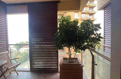 Chakvi Apartment | Dreamland Oasis 1206 Studio Room