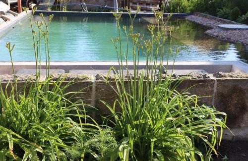 Fuchshain Apartment | Drei-Seiten-Hof Étable mit Schwimmteich und Klimanlage