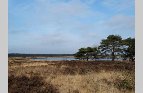 Municipality of Midden-Drenthe House | Drentse bungalow in natuur en rust