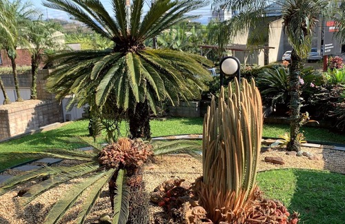 Centro House | DRIRIOS HOUSE guesthouse 3 minutes from the center. It has a swimming pool and large rooms.