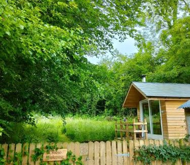 Llandeilo Other | Dryw bach glamping hut