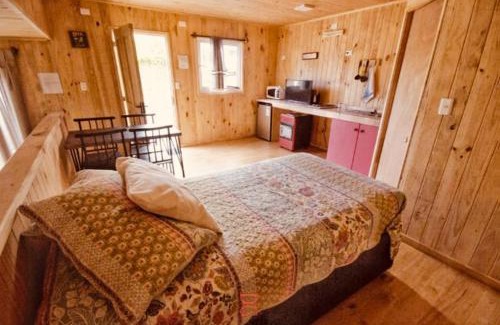 Llifen Apartment | Dulac Futrono