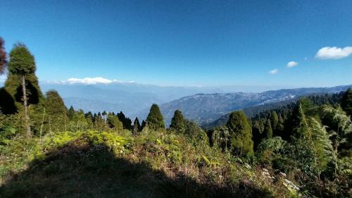 Darjeeling House | Dumfu Homestay