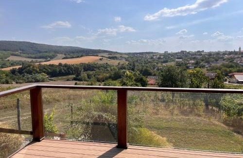 Dunaszentmiklos Villa | Duna Holiday Home