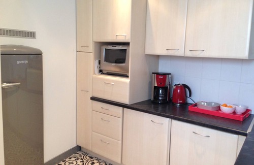 Saint-Jean-de-Luz City Center Apartment | Duplex apartment - great location