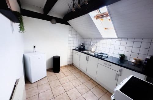 Soultz-Haut-Rhin Apartment | Duplex centre ville