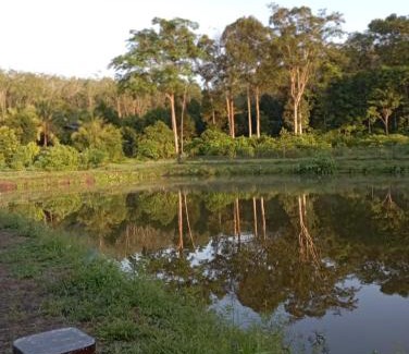 Kuala Krai House | Dusun Rimbun Agro Farmstay 2