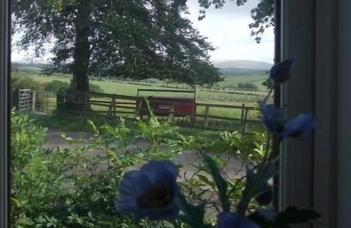 Mauchline Other | Dykefield Farm B&B