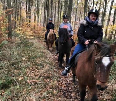 Helsinge Apartment | Dyrlundgaard tilbyder charmerende ferielejlighed.