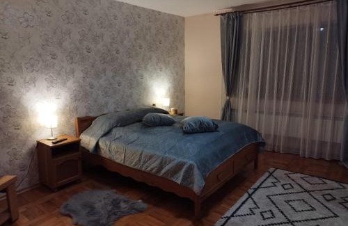 Ghimbav Apartment | E'milu Residence