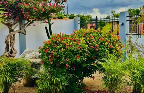 Oranjestad-West Apartment | Eagle Stays Aruba-NEW Luxurious One Bedroom Apartment Near Eagle Beach!