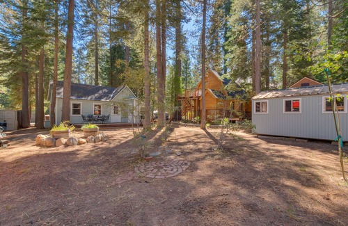 Tahoma Cabin | Easy Living: 1 BR, 1 BA Cabin/Bungalow in Tahoma, Sleeps 2