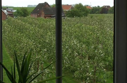 Jork Apartment | Ebbe holiday apartment - ebb and flow holiday apartments