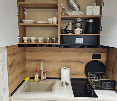 Lisina Apartment | Ebra 75 Kraljevi Cardaci Kopaonik