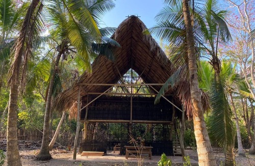 Monitos Cabin | Eco-hotel con Cabañas Frente al Mar. Rodeado de Naturaleza