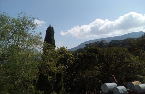 Pluma Hidalgo Hotel | Eco Hotel El Refugio, In the mountains but near the sea. - ROOM 15