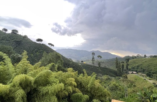 La Estrella Cabin | Eco Hotel Glamping El SIlencio