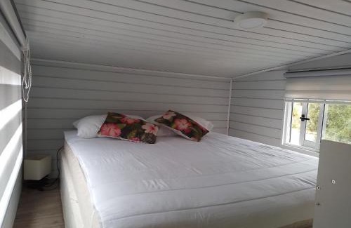 Algarrobo House | Eco Refugio del alma