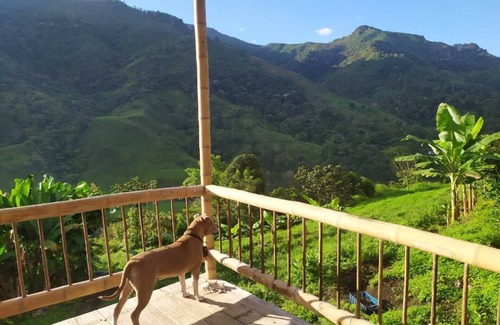 Pijao House | Ecocabaña En La Naturaleza Para Desconectarse. Armenia Quindío