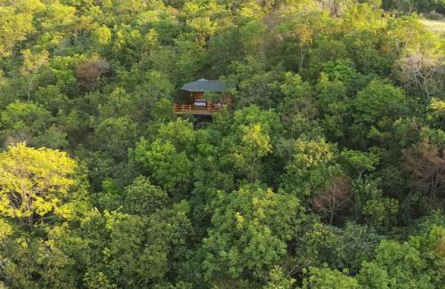 Monterrey Cabin | Ecolodge La Corocora