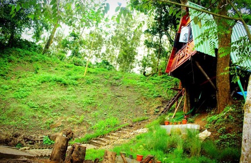 Virarajendrapet Bed & Breakfast | Econest treehouse
