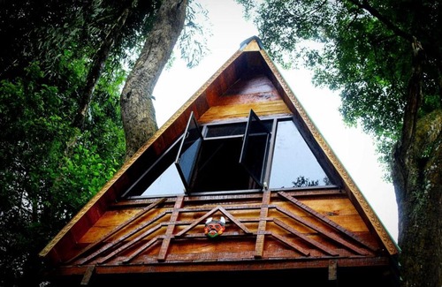 Virarajendrapet Bed & Breakfast | Econest treehouse