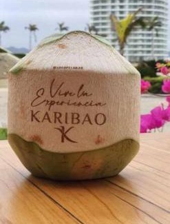 Coastal Region Apartment | Ecusuites Karibao Room 3 Genius playas